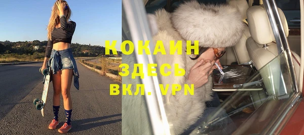 прущие грибы Карпинск